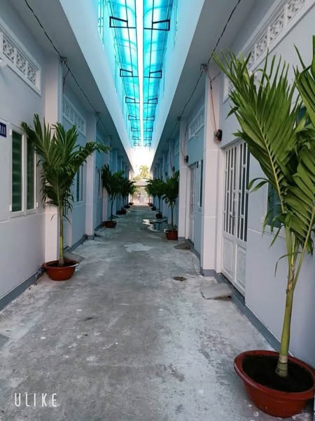 bán dãy trọ 20 phòng