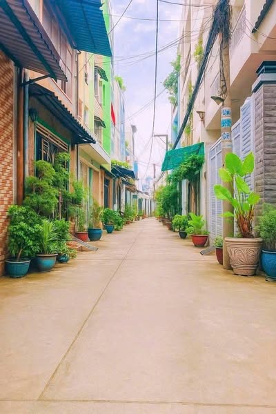 Bán nhà hẻm 46// đường trần Văn ơn phường tân Sơn nhì, Tân Phú,