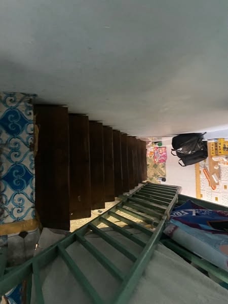 10x/ xx Lạc Long Quân, Phường 3 quận 11.