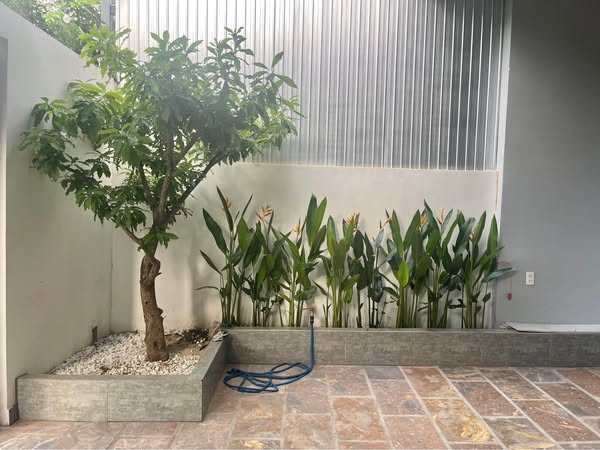 Bạn này chắc cũng sắp bay rồi đó, nhưng còn hàng vẫn vác đi tìm duyên ạ!