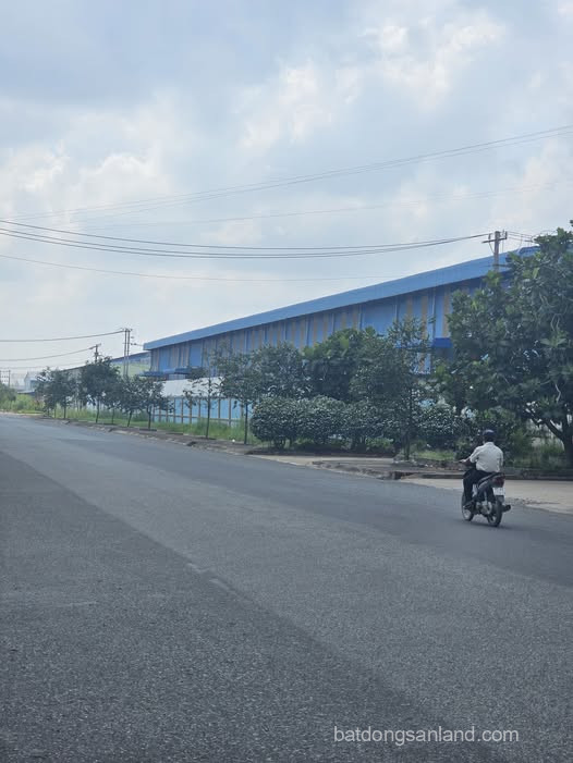 Nhà xưởng cần bân gấp với tổng diện tích hơn 3500m2