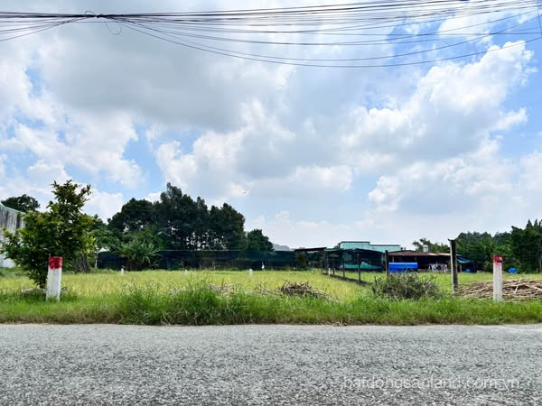 ĐẤT TÂN THÔNG HỘI HUYỆN CỦ CHI