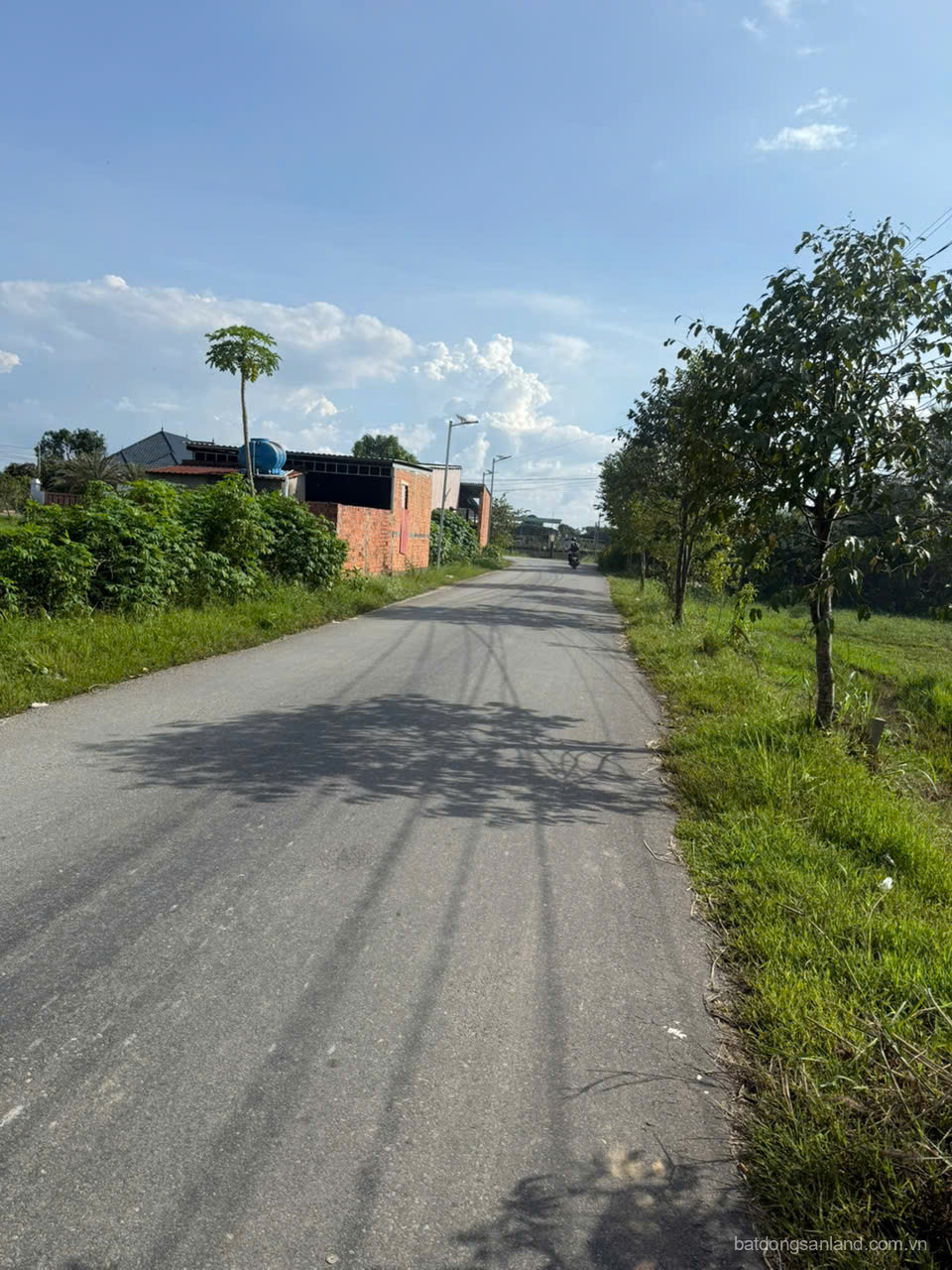 Bán đất mặt tiền đường nhựa thị trấn Hậu Nghĩa tdt 885m2 ( có 200m2 thổ) giá 4,2 tỷ