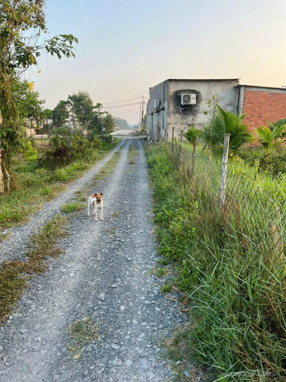 Bán đất thổ vườn 1/ Bàu Sen, xã Hòa Khánh Đông dt 420m2 (75m2 thổ) giá 1,8 tỷ