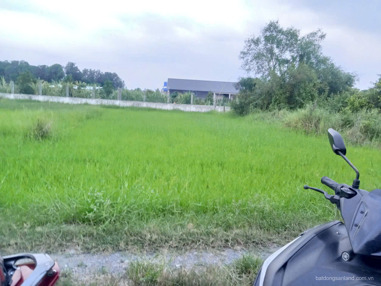 Bán đất thổ vườn 1/ Bàu Sen, xã Hòa Khánh Đông dt 420m2 (75m2 thổ) giá 1,8 tỷ