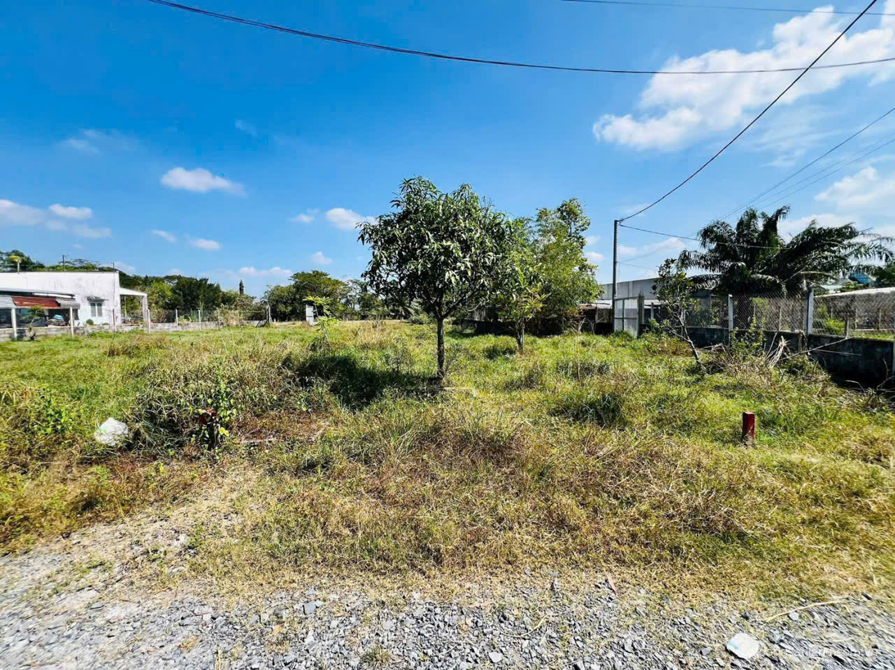 Bán 2 nền thổ cư hẻm đá xanh xe oto xã Trung Lập Thượng dt 132m2 giá 1,1 tỷ / lô