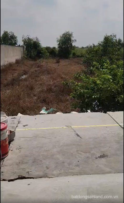 Bán kho mt ĐT 816 , xã Thạnh Lợi , Bến Lức dt 1300m2 ( dtxd 450m2 ) giá 7 tỷ